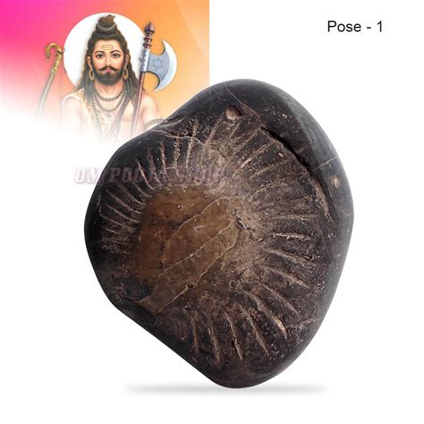 which shaligram is best